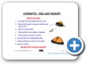 safety slides_Page_11